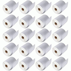 40 Rolls of 250 4x6 Direct Thermal Blank Shipping Labels for Zebra 2844 Zp-450 Zp-500 Zp-505